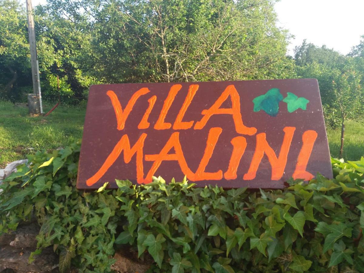 Villa Malini Грожнян Экстерьер фото